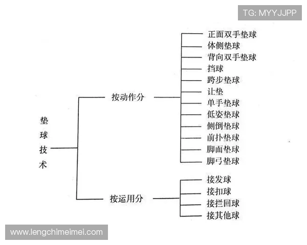 北京排球队区域防守革新探索与实践的深度分析与展望 北京排球队区域防守革新探索与实践的深度分析与展望