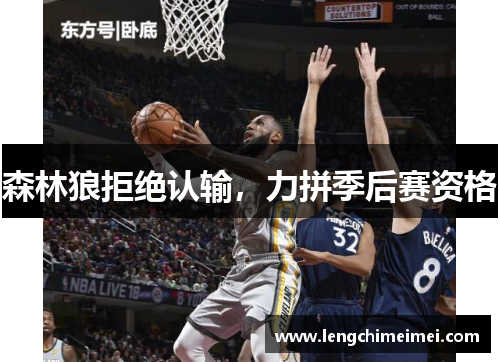 森林狼拒绝认输，力拼季后赛资格